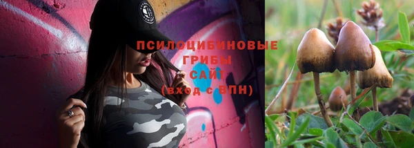герыч Арсеньев